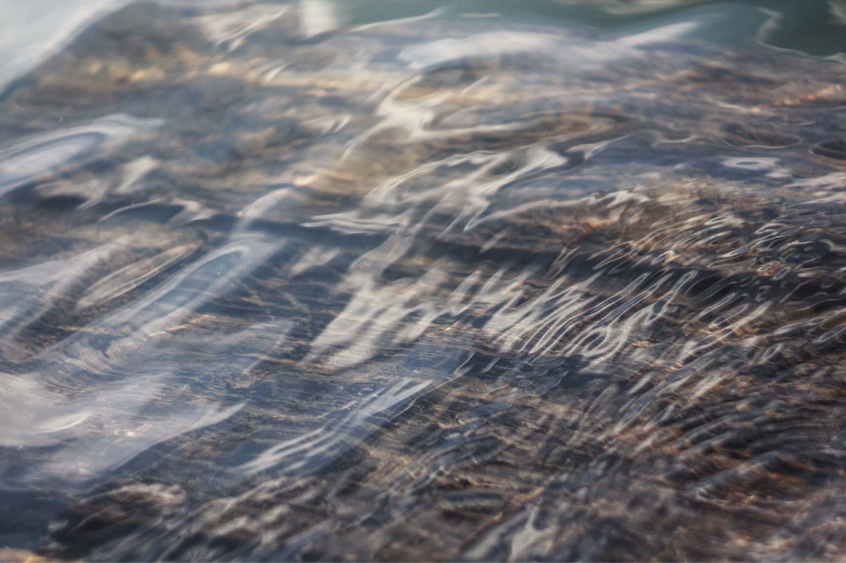 ¿Nos dirigimos a una era POST PLÁSTICO?