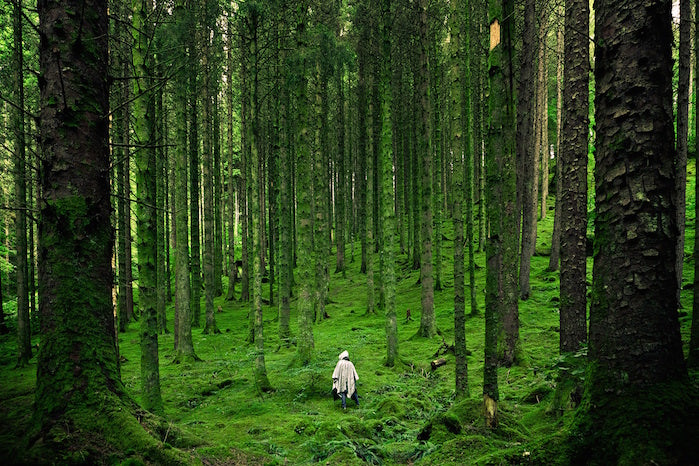 Día mundial del medio ambiente