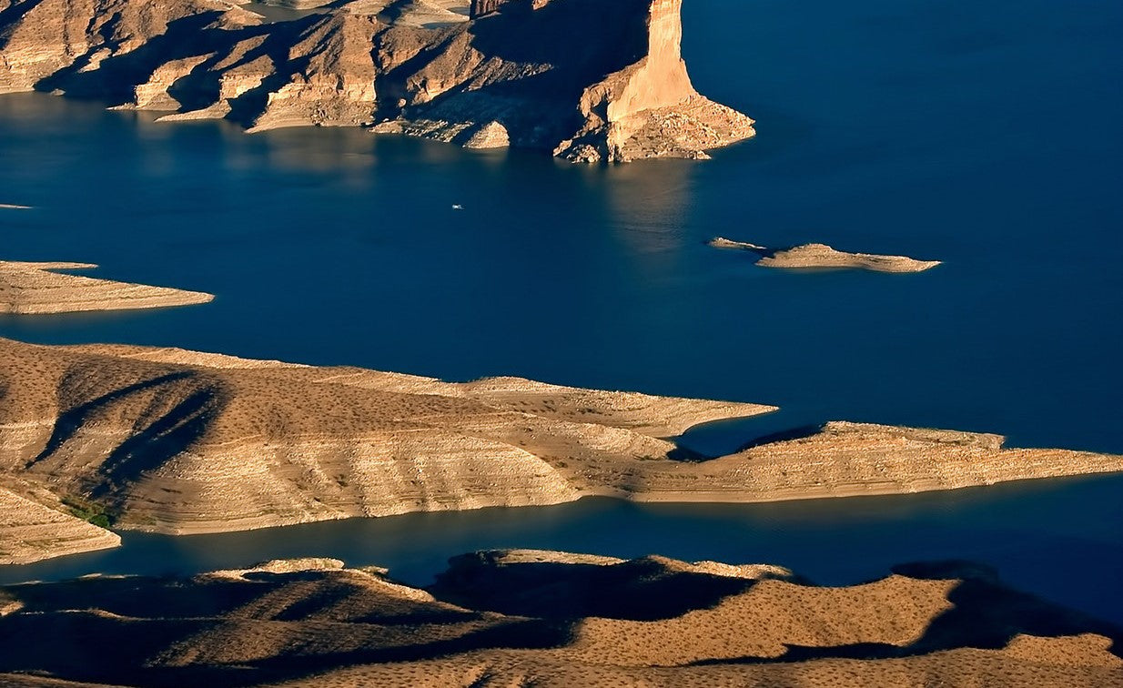 LA RESPUESTA ESTÁ EN LA NATURALEZA