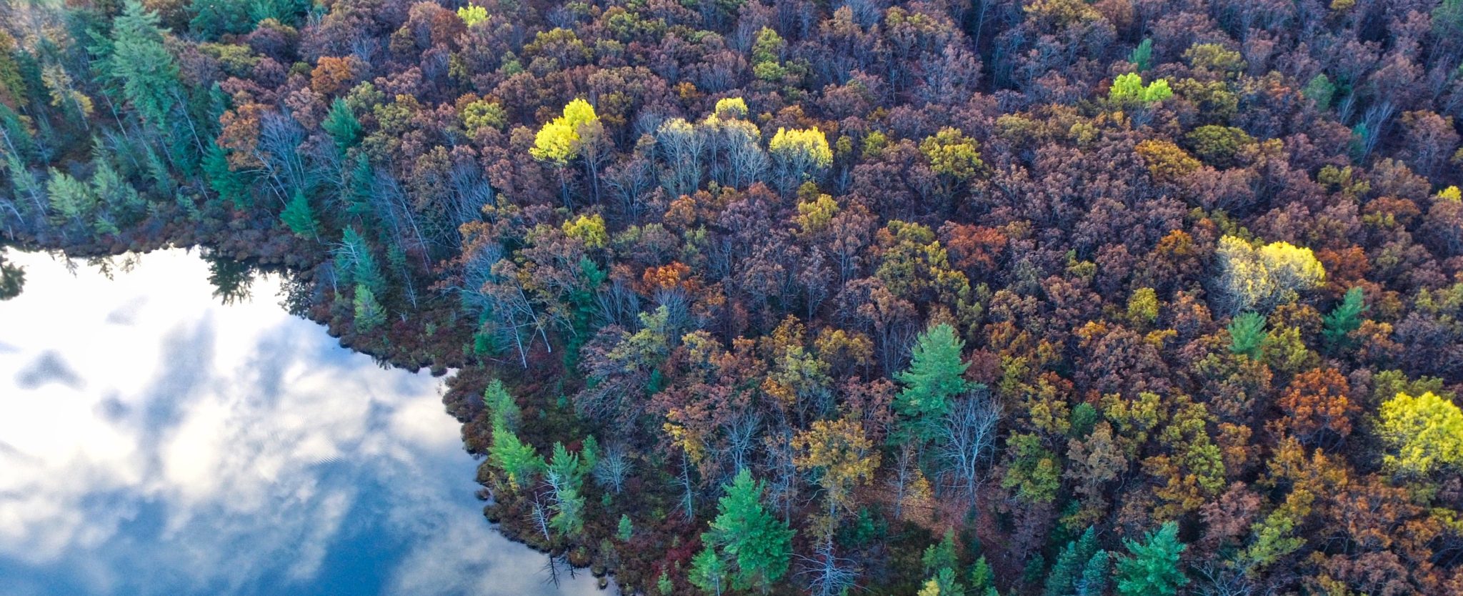 5 documentales que cambiarán tu manera de consumir