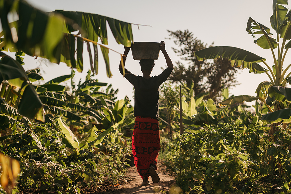 Día de la Tierra, el día de todos