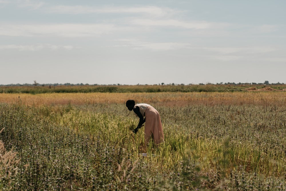 El COVID-19 en África, mucho más que un problema sanitario
