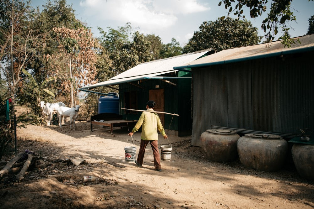 Mujer camboyana llevando agua en dos cubos en una balanza en los alrededores de su casa