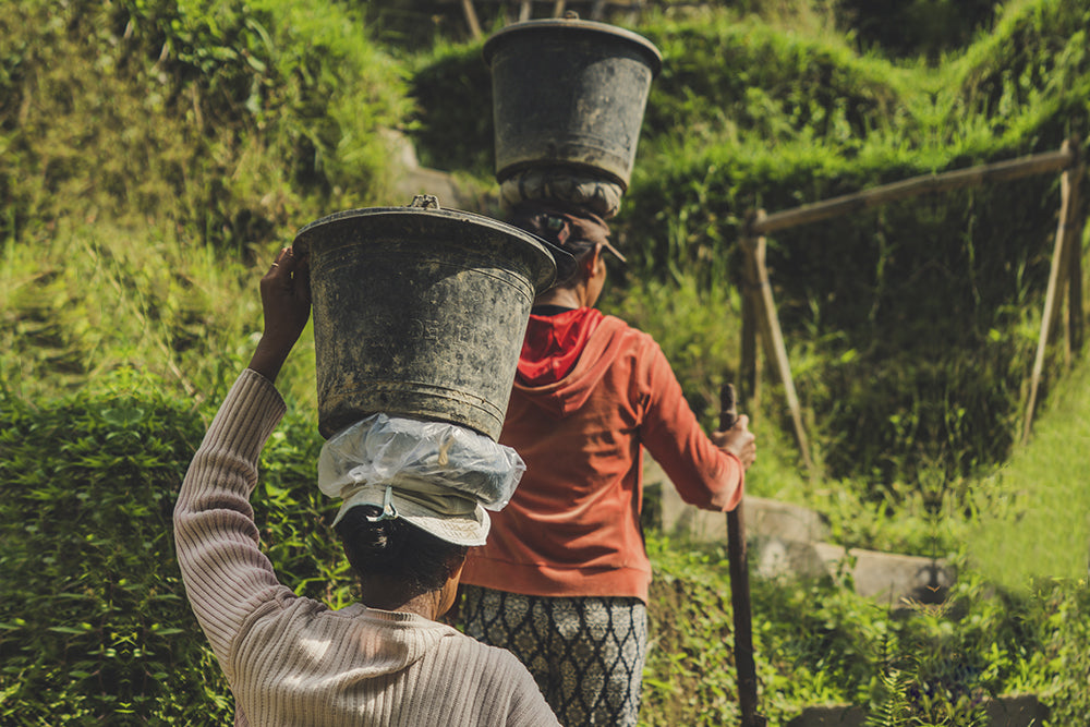 Día de las Américas: el acceso al agua también es prioritario