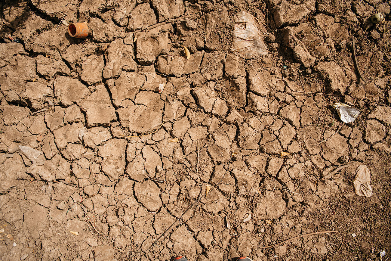 Los problemas del mundo: ni truco ni trato