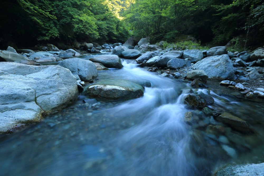 Los ríos, una fuente de vida amenazada por el cambio climático