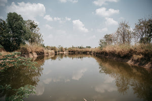 Paisaje de un estanque de agua sucia en Camboya