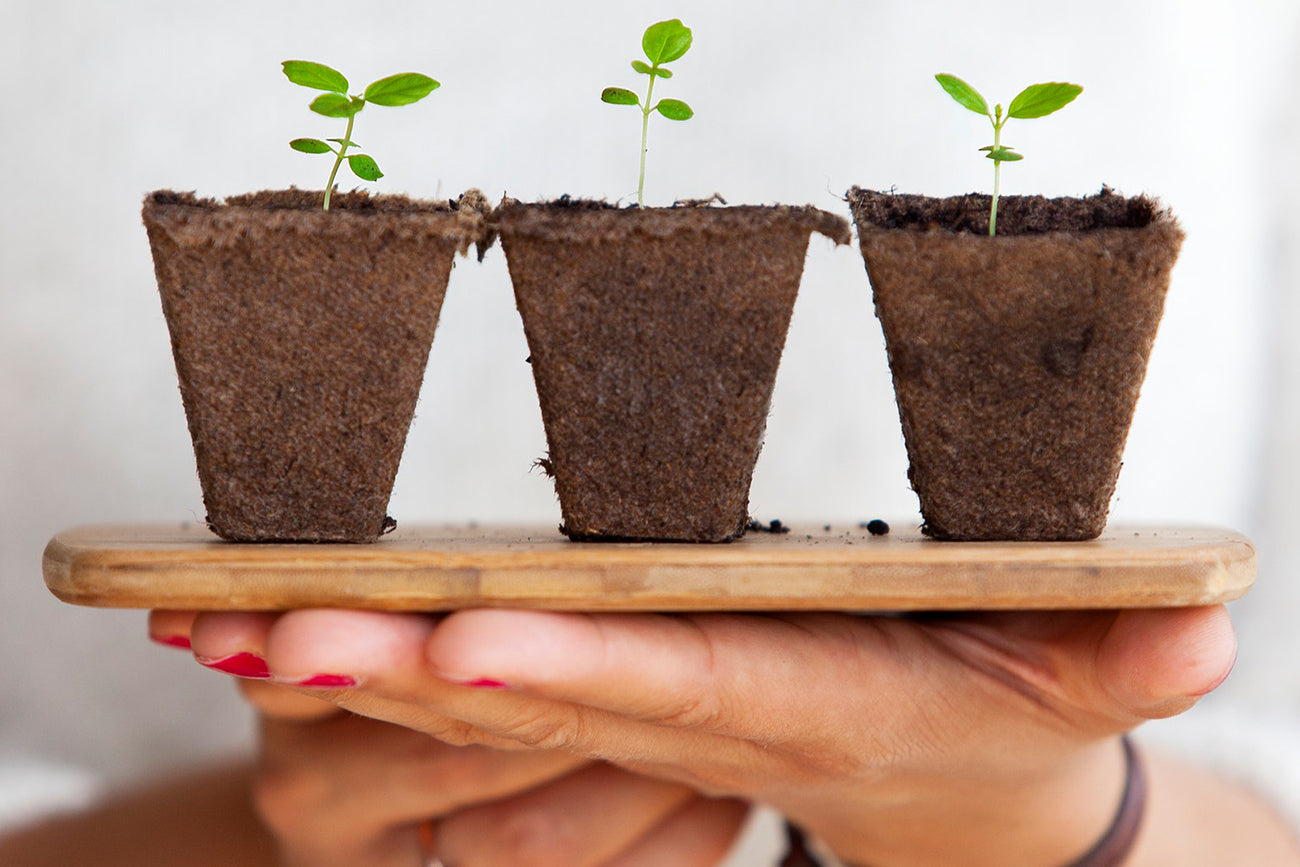 Economía circular: hacia un nuevo modelo de consumo