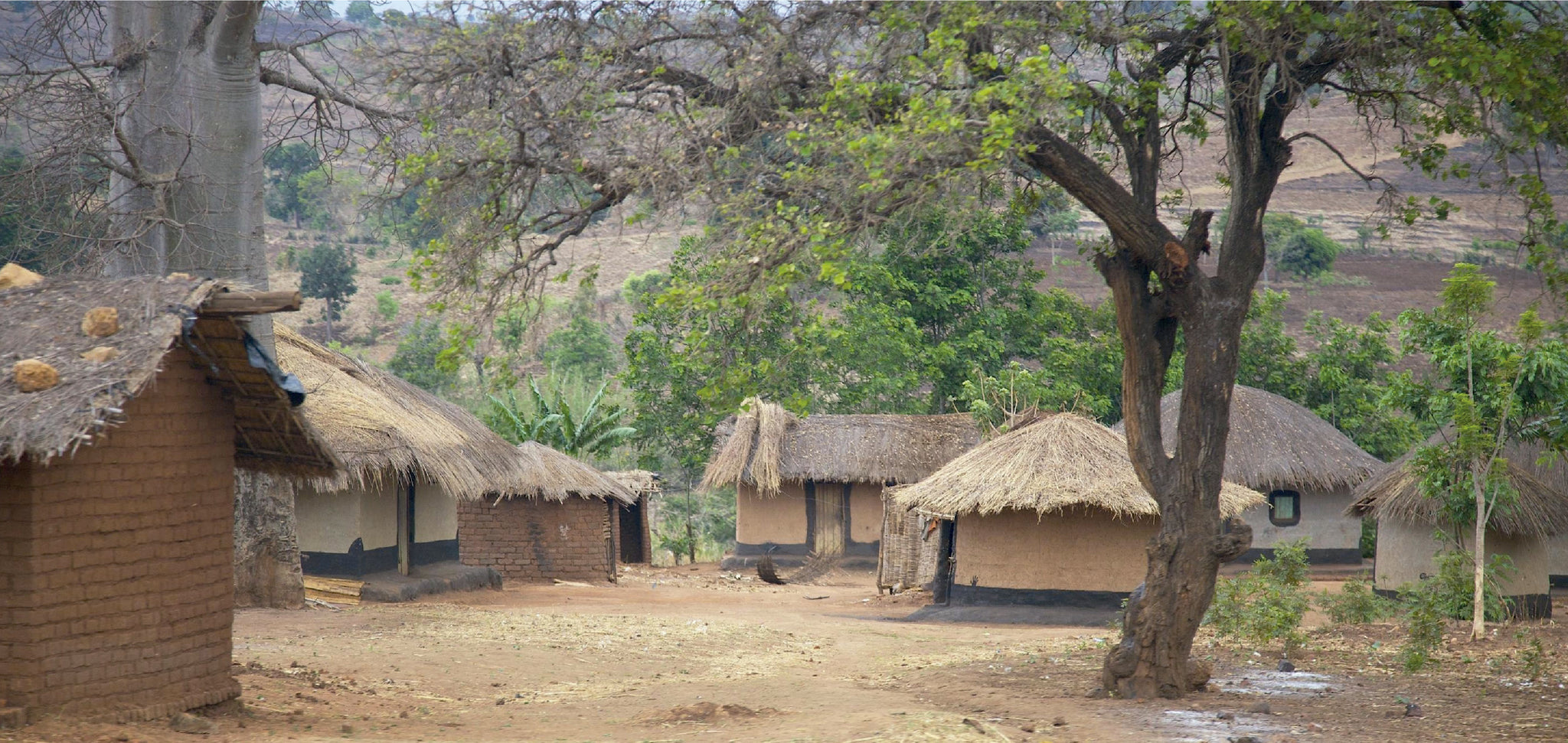 Nuestros proyectos en seguimiento