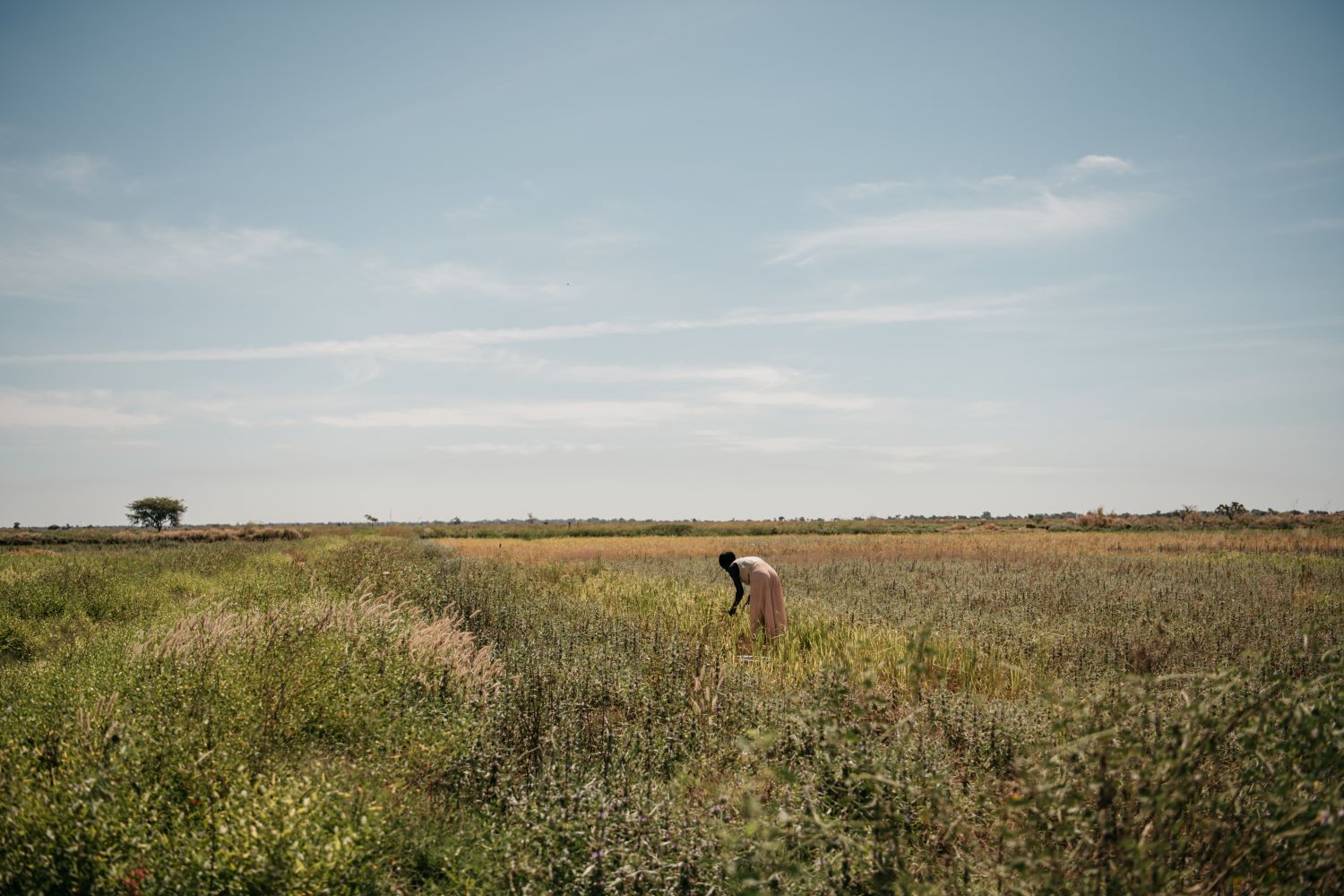 Derecho a trabajar bien y seguros