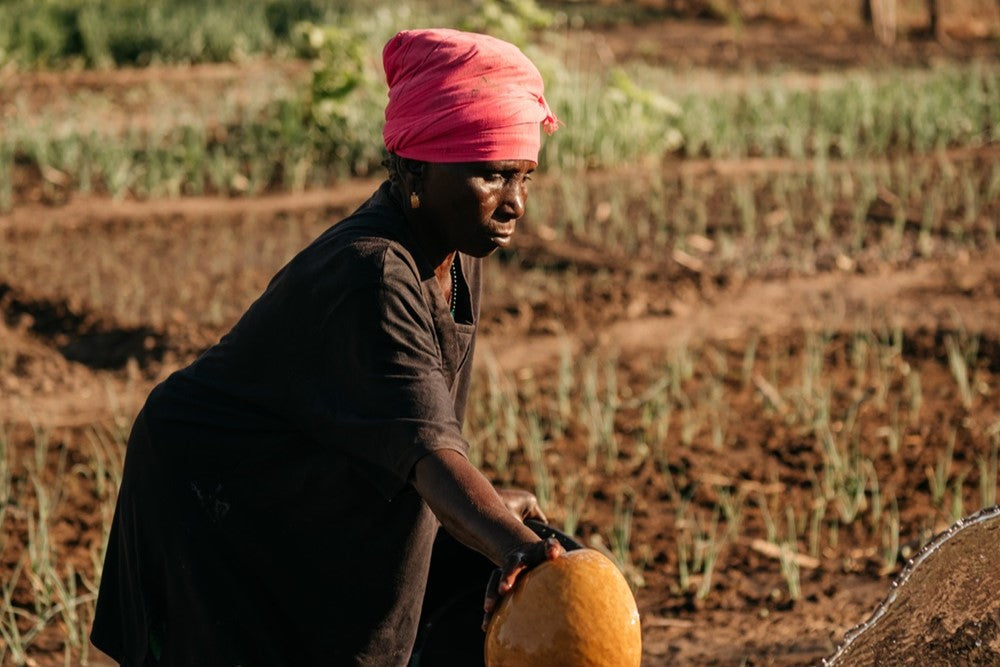 Llegar a anciano sin agua…, una vulnerabilidad añadida OCT