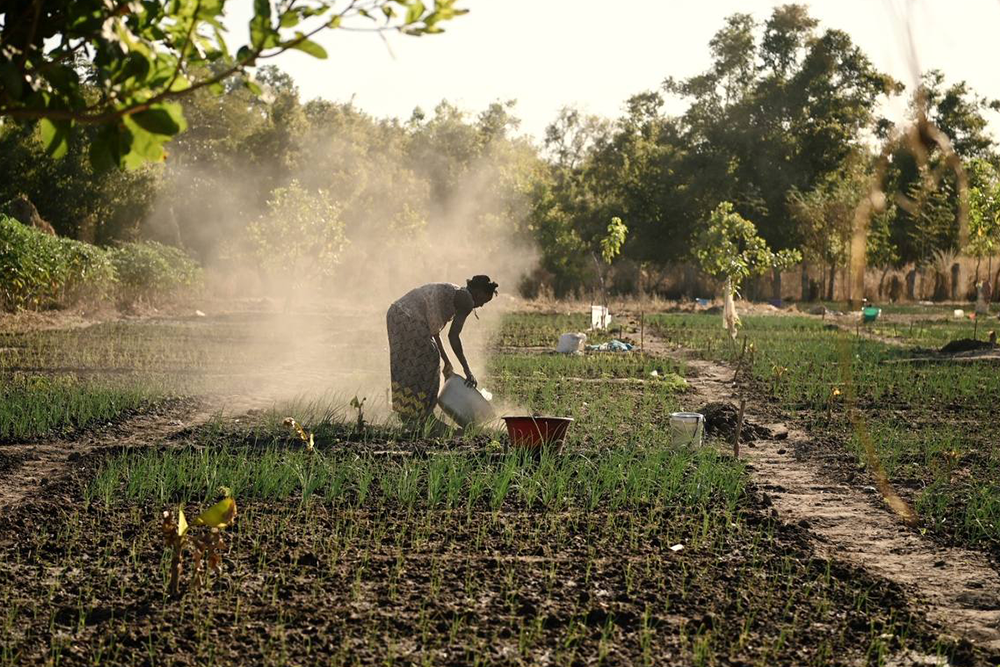 Visitamos nuestros proyectos en Gambia