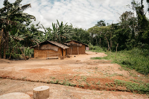Viviendas en Camerún, África