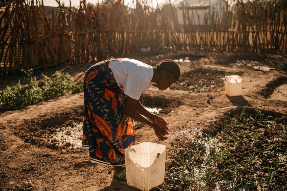 Mejor gestión del agua, más alimentos