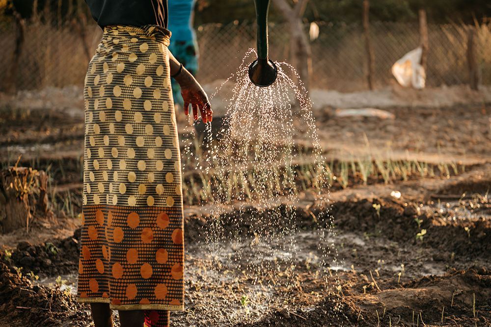 Limpieza de primavera, destierra también malos hábitos
