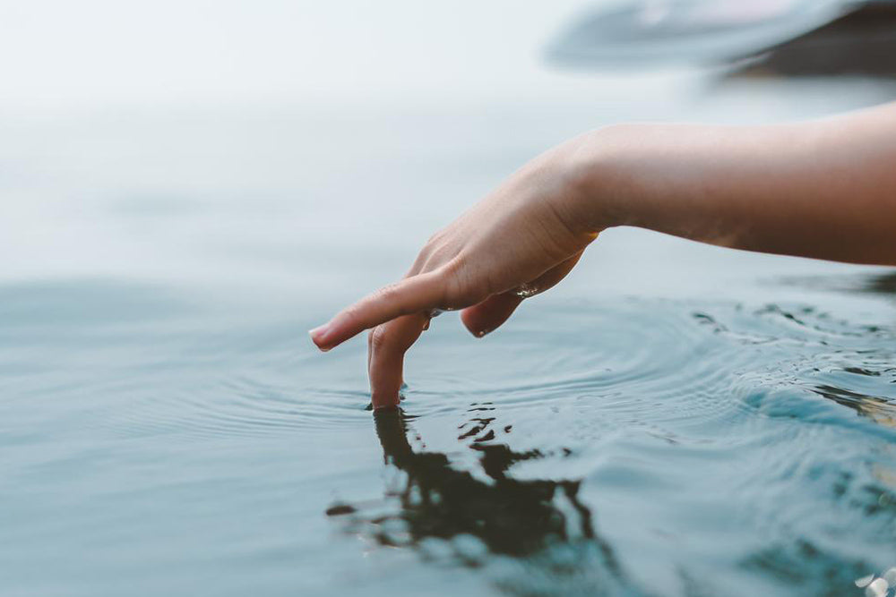 ¿Cómo se encuentra agua? Zahoríes