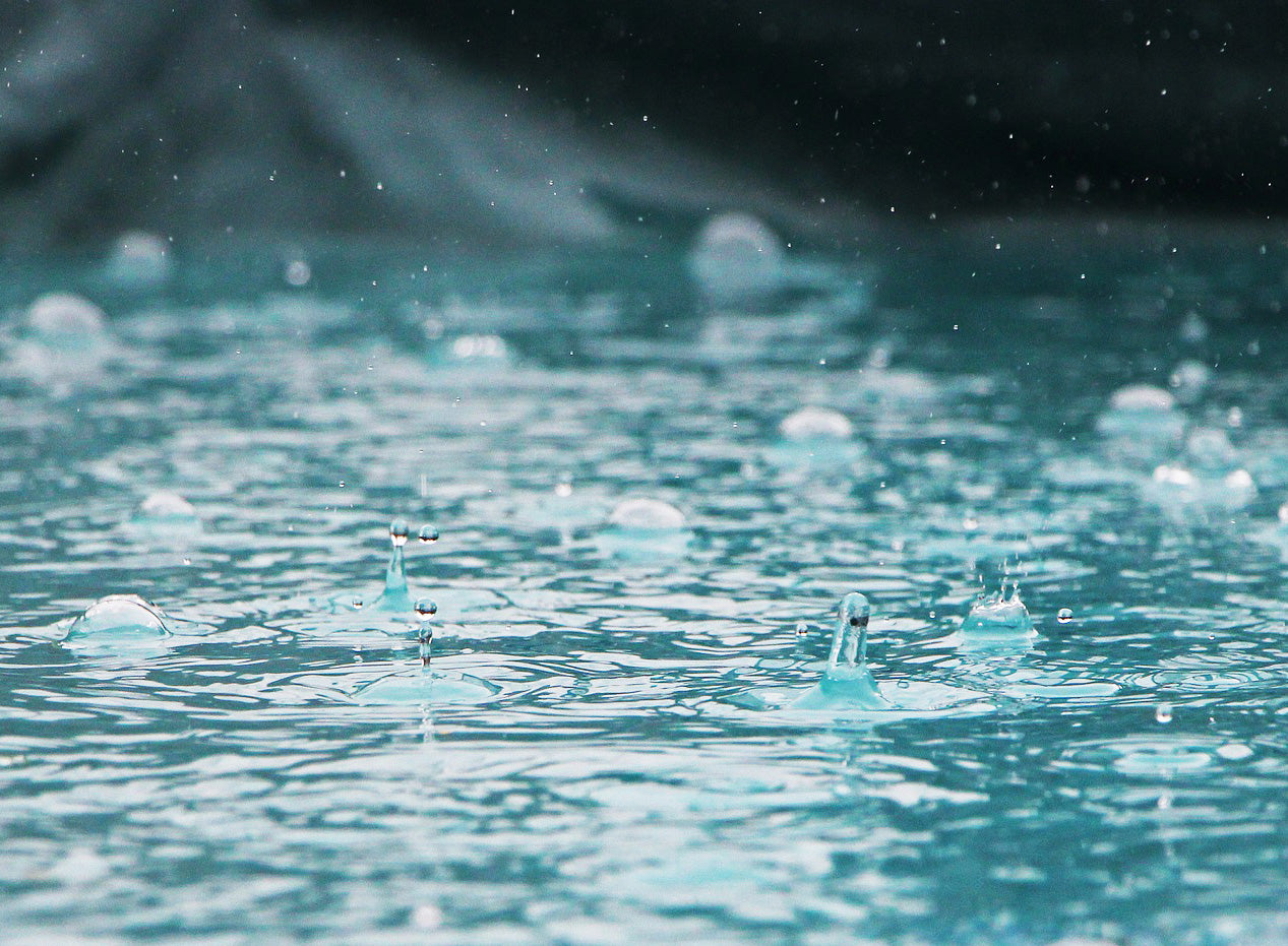 La mujer del César… y las empresas sociales