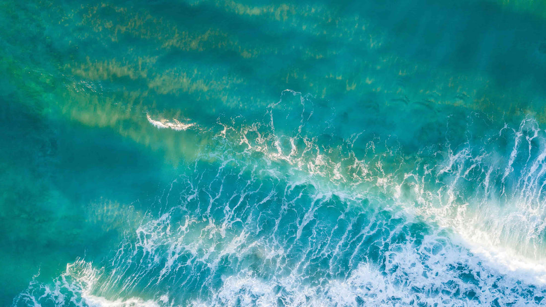 7 razones por las que el agua es vital para un futuro sostenible