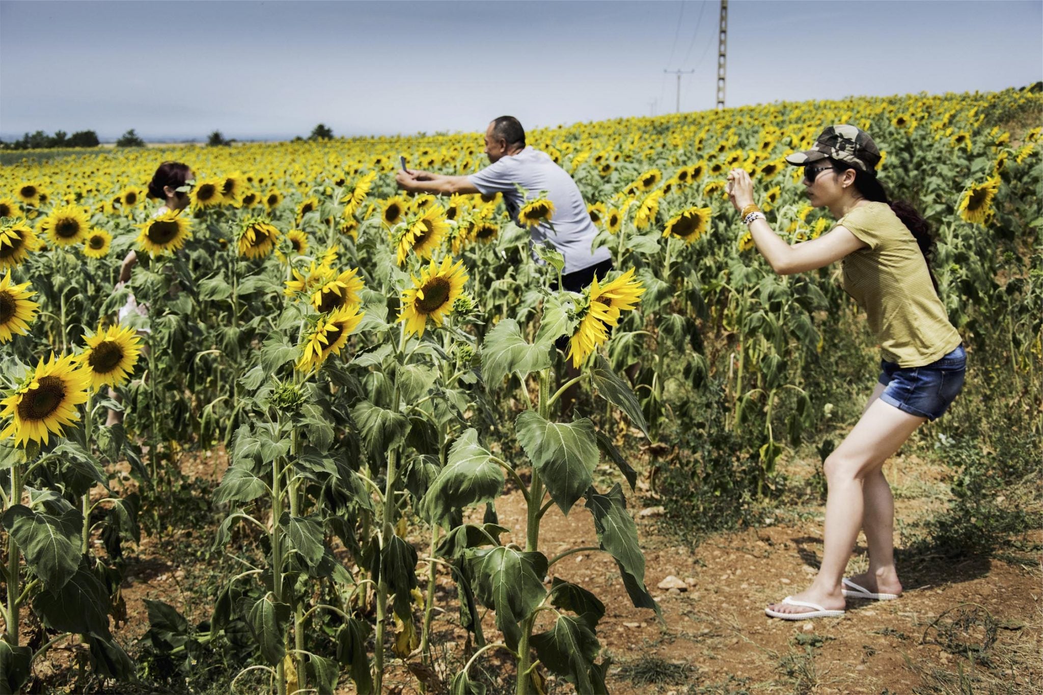 Resurgimiento de las Energías Renovables en países en vías de desarrollo
