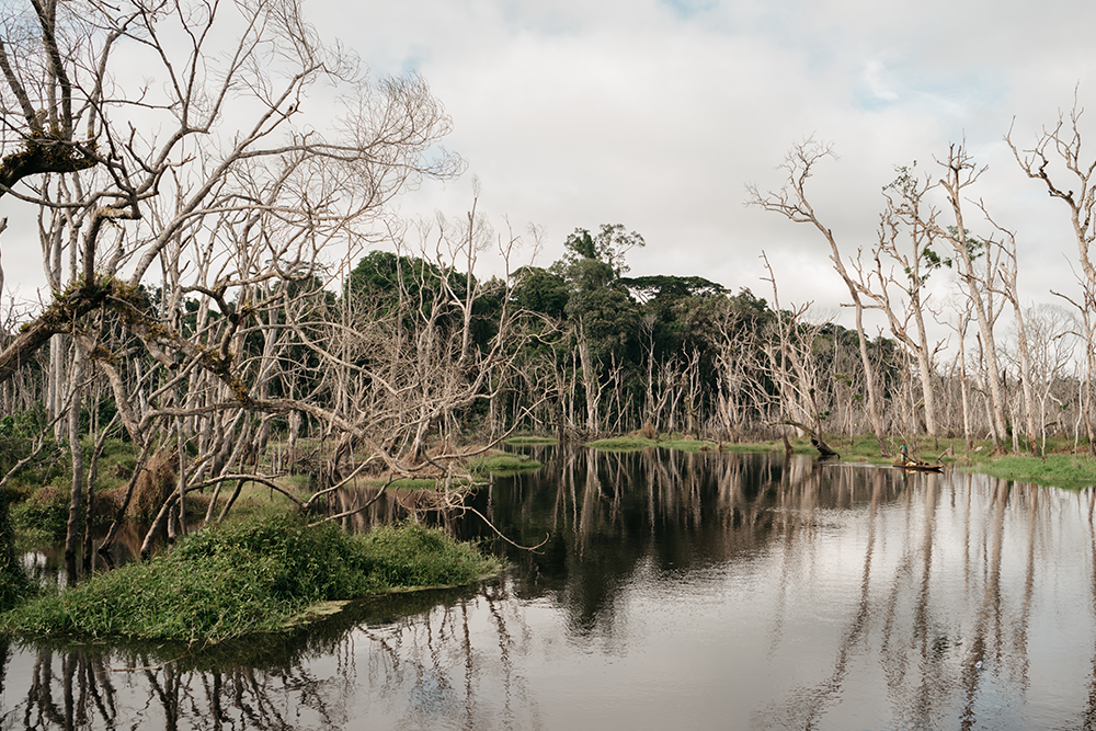 Luchas por el oro azul