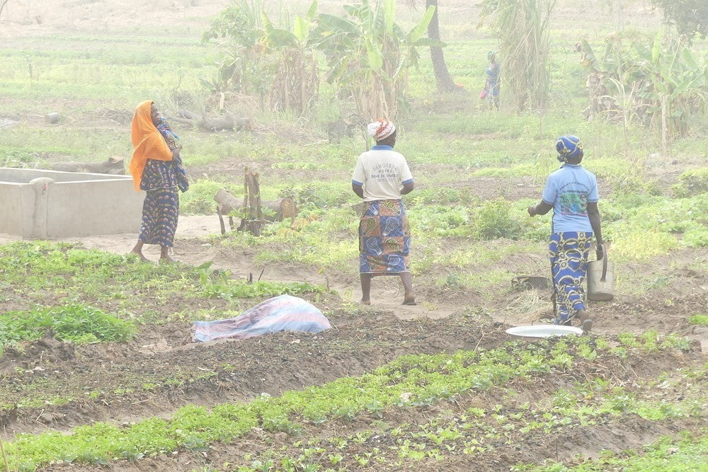 El agua, una nueva esperanza para los huertos de ‘L’Esperance’ en Benín